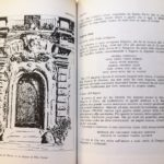 CuriosWilly2