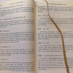 TextCommentGreekNT2